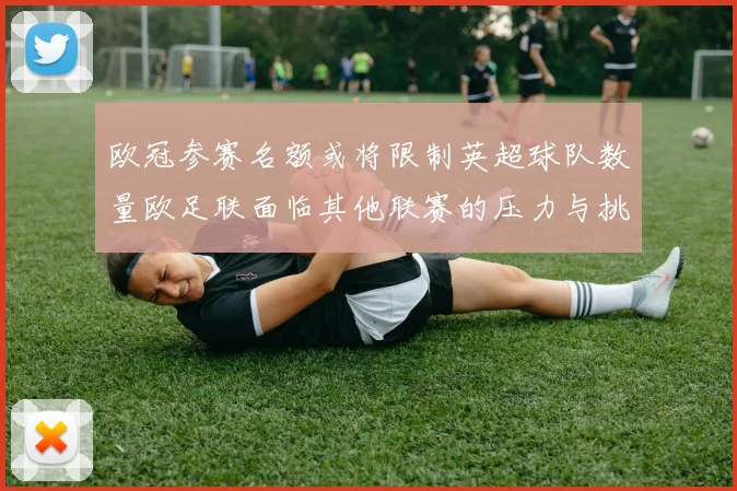 欧冠参赛名额或将限制英超球队数量欧足联面临其他联赛的压力与挑战