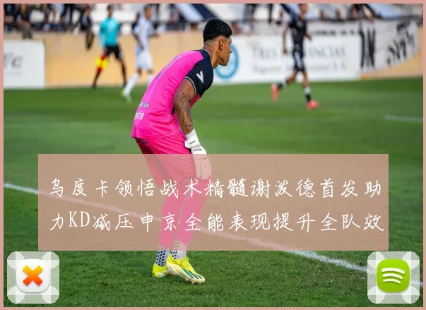 乌度卡领悟战术精髓谢泼德首发助力KD减压申京全能表现提升全队效率